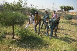 NSS Event 1-1-2010